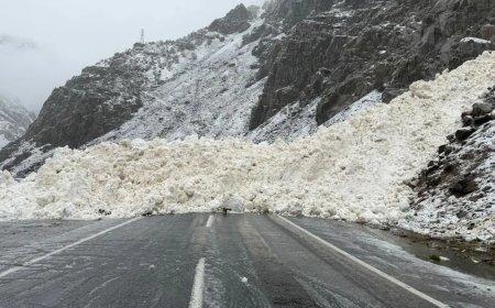 Hakkari-Çukurca kara yolu kapandı. Köyün yakınına düşen çığ görüntülendi