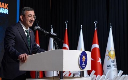 Cumhurbaşkanı Yardımcısı Cevdet Yılmaz: Bölgemizdeki yangının sönmesi için çaba sarf ediyoruz