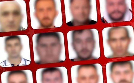 Suçlu iadesinde ilk sırada Gürcistan var