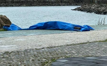 Ordu'da sahile İHA vurdu iddiası. Cisim ekiplerce inceleniyor