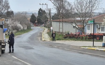 Türkiye'de eşi benzeri yok. Aile reisleri birbirine girince nüfus memuru tek başına karar vermiş