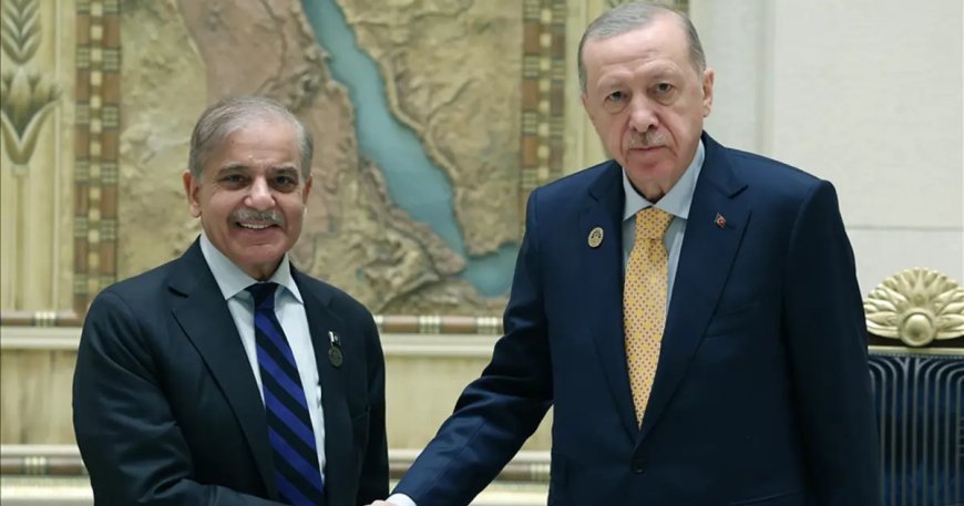 Cumhurbaşkanı Erdoğan, Pakistan Başbakanı Şahbaz Şerif ile görüştü