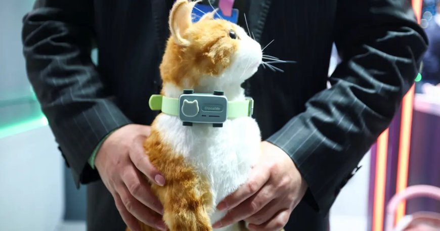 Evcil hayvanlar için akıllı telefon