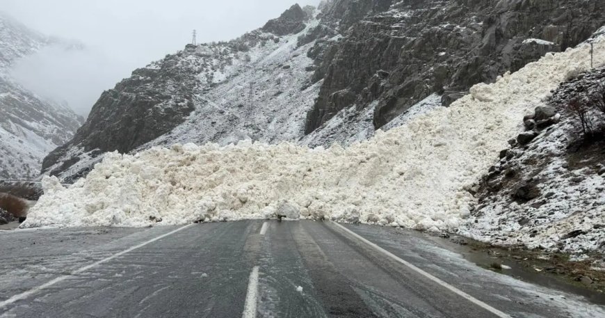 Hakkari-Çukurca kara yolu kapandı. Köyün yakınına düşen çığ görüntülendi