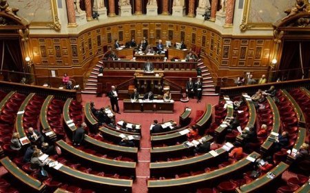 Fransız Senatosu kabul etti: 15 yaşından küçüklere kısmi sosyal medya yasağı