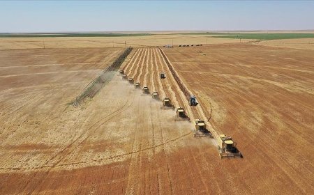 Toprağın korunması için arazi kullanım planları hazırlanacak