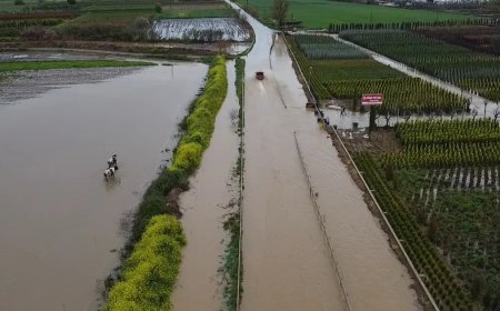 Kuvvetli sağanak sonrası göle döndü. Tarım arazileri ve kara yolunu su bastı