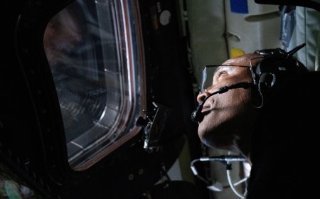 Artemis 2'de insan vücudu da mercek altında