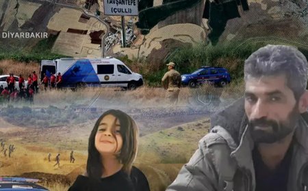 Narin Güran cinayeti davası: Nevzat Bahtiyar'a 17 yıl hapis