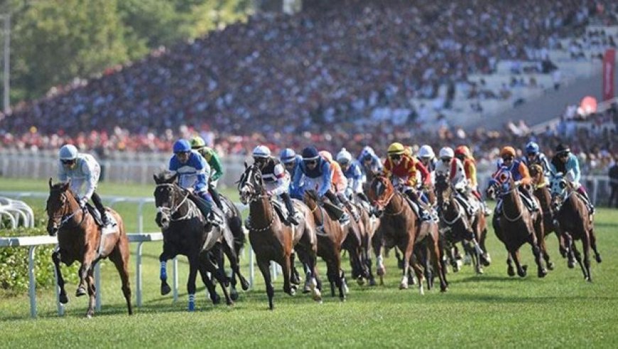 Akdeniz Derbisi için nefesler tutuldu! 12 safkanın zorlu mücadelesi