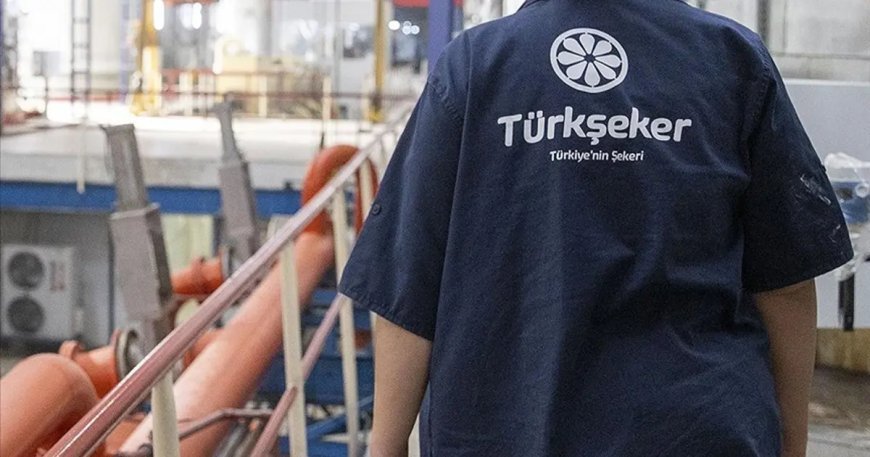 Türkşeker 525 geçici işçi alımı başladı: Fabrikalarda yeni istihdam kapısı