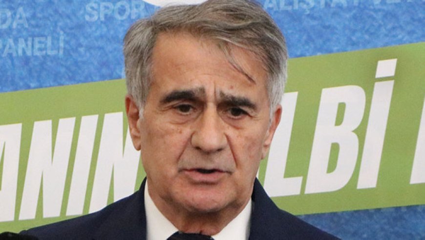 Şenol Güneş: 'Milli takımın çeyrek final görüntüsü var!'