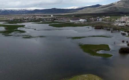 Yağışlar rekor kırınca nehir taştı, ova gölete döndü. Ev sahipleri tedirgin