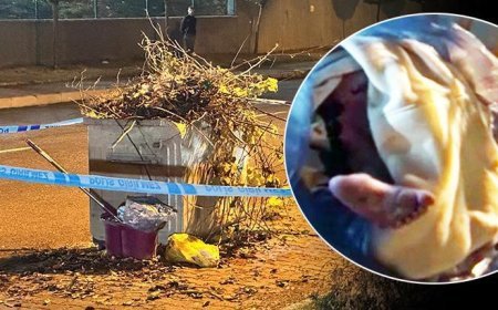 Tuvalette doğurduğu bebeğini çöpe atan annenin cezası belli oldu
