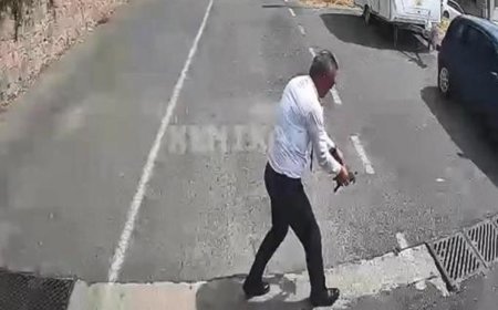 Otobüs şoföründen duyarlı davranış. Kaplumbağayı ezilmekten kurtardı