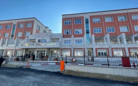 Bartın'daki cinsel istismar skandalında korkunç ayrıntılar: TikTok'ta yemek vaadiyle kandırdılar