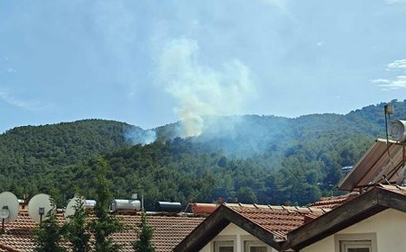 Muğla'da orman yangını