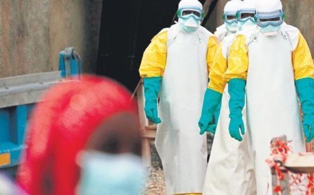 Ebola alarmı