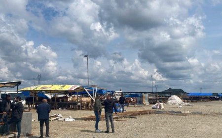 Çerkezköy'de hayvan pazarında taşlı-sopalı kavga; 2 yaralı