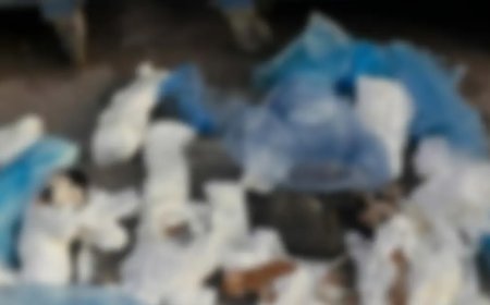 İzmir'de vahşet. Çöp konteynerinin önünde 33 ölü kedi bulundu