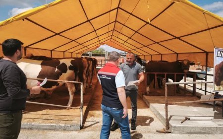 Tekirdağ'da kurban pazarında sıkı denetim