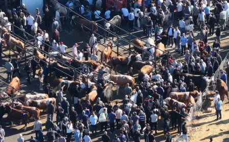 Kurban kesim alanındaki yoğunluk havadan görüntülendi