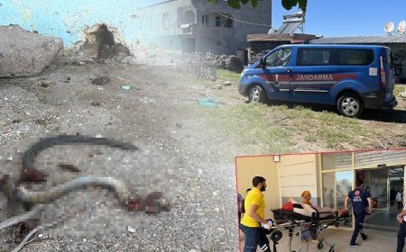 Şanlıurfa'da akılalmaz olay! Yılana ateş etti, 5 kişiyi vurdu