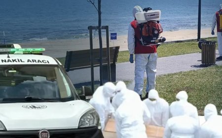 Riskli dönem başladı: Can kaybı üçe yükseldi, Sivas, Tokat, Yozgat, Çorum ve Kastamonu en riskli şehirler
