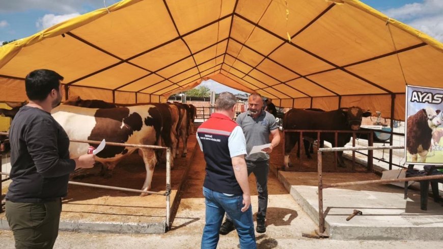 Tekirdağ'da kurban pazarında sıkı denetim