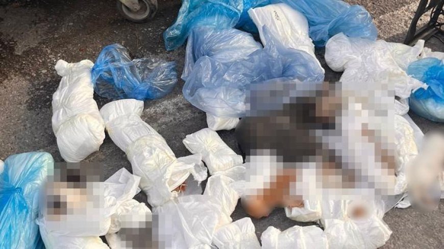 İzmir'deki 33 ölü kedi vahşetinde yeni gelişme! Veterinerle ilgili verilen karar başsavcılık itiraz etti