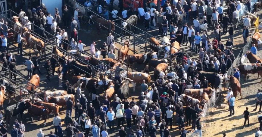 Kurban kesim alanındaki yoğunluk havadan görüntülendi