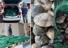 Kapıkule Sınır Kapısı'nda kaçak akivades operasyonu! Kesilen ceza dudak uçuklattı