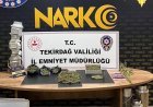 Tekirdağ'da uyuşturucu operasyonlarında 19 tutuklama