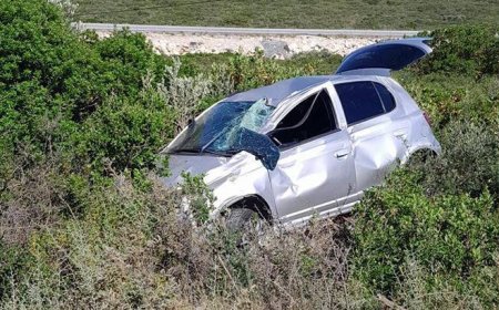 Aydın'da otomobil şarampole uçtu: 2 ölü