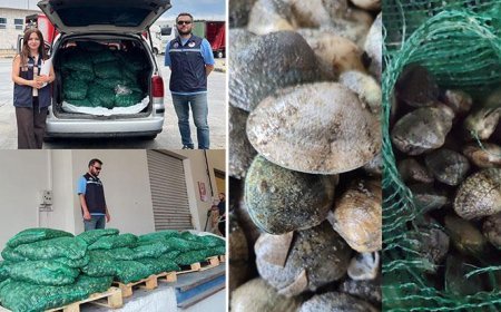 Kapıkule Sınır Kapısı'nda kaçak akivades operasyonu! Kesilen ceza dudak uçuklattı
