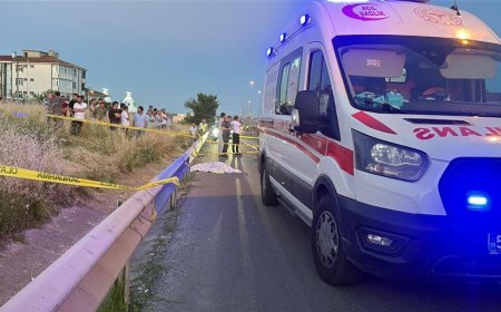 Otomobilin çarptığı Rabia, hayatını kaybetti