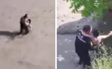 Torununu kurtarmak isteyen dedenin acı sonu! Akıntıya kapılarak can verdi