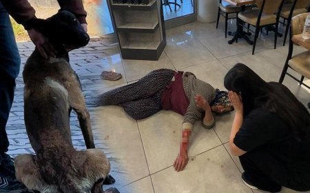 Dinlenme tesisinde can pazarı! Başıboş köpek kadının kolunu kopardı