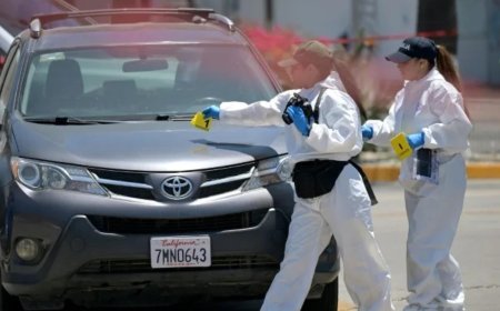 İran’ın Dünya Kupası'nda kamp yaptığı bölge yakınında dehşet! Otoparkta çürümüş ceset bulundu