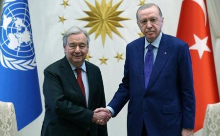 Erdoğan, Guterres ile telefonda görüştü: 'Uluslararası topluma görevler düşüyor'
