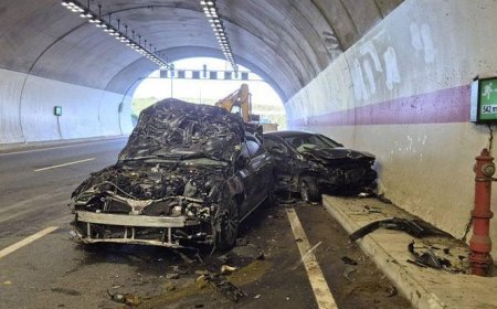 İstanbul'da tünelde sürü çıkmazı! 10 inek telef oldu, 1 kişi yaralandı