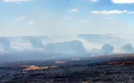 Tekirdağ’da yangın; 200 dekar buğday ekili alan zarar gördü