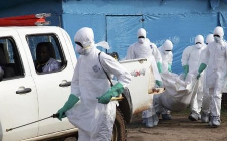 Ebola'da 1048 vaka, 200'den fazla ölü! DSÖ'den uyarı