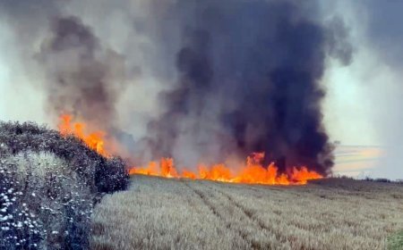 Tekirdağ’da yangın; 300 dönüm buğday ekili alan zarar gördü