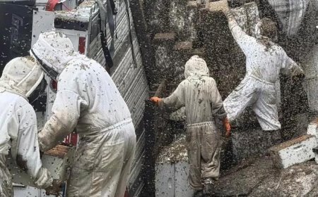 400 kovan taşıyan kamyon devrildi! 24 milyon arı etrafa dağıldı: 'Lütfen içeride kalın'