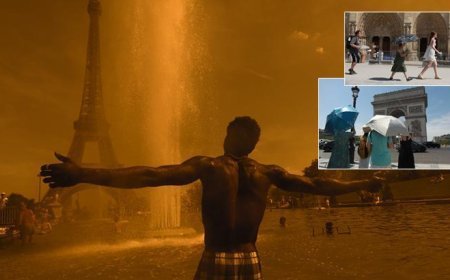 Avrupa'da kavuran sıcaklık felaketi! Can kaybı 300'e yaklaştı; ısı kubbesi alarmı