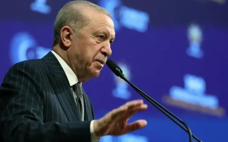 Cumhurbaşkanı Erdoğan: Muhalefet gerilimden besleniyor