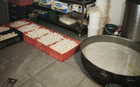 Başkentte 9 ton bozuk süt ve süt ürünü ele geçirildi