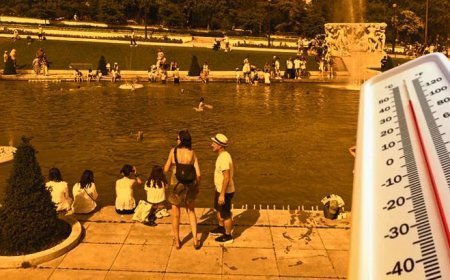 Fransa Meclisi'nde klima krizi! Kavuran sıcakların vurduğu ülkede meclis başkanının önerisi güldürdü