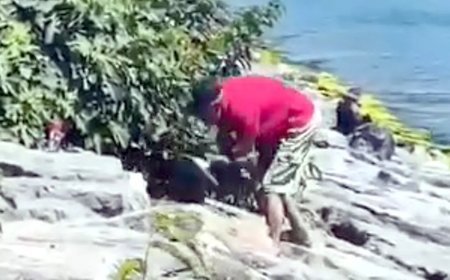 Avcılar Sahili’nde köpeğe şiddet. Şüpheli gözaltına alındı